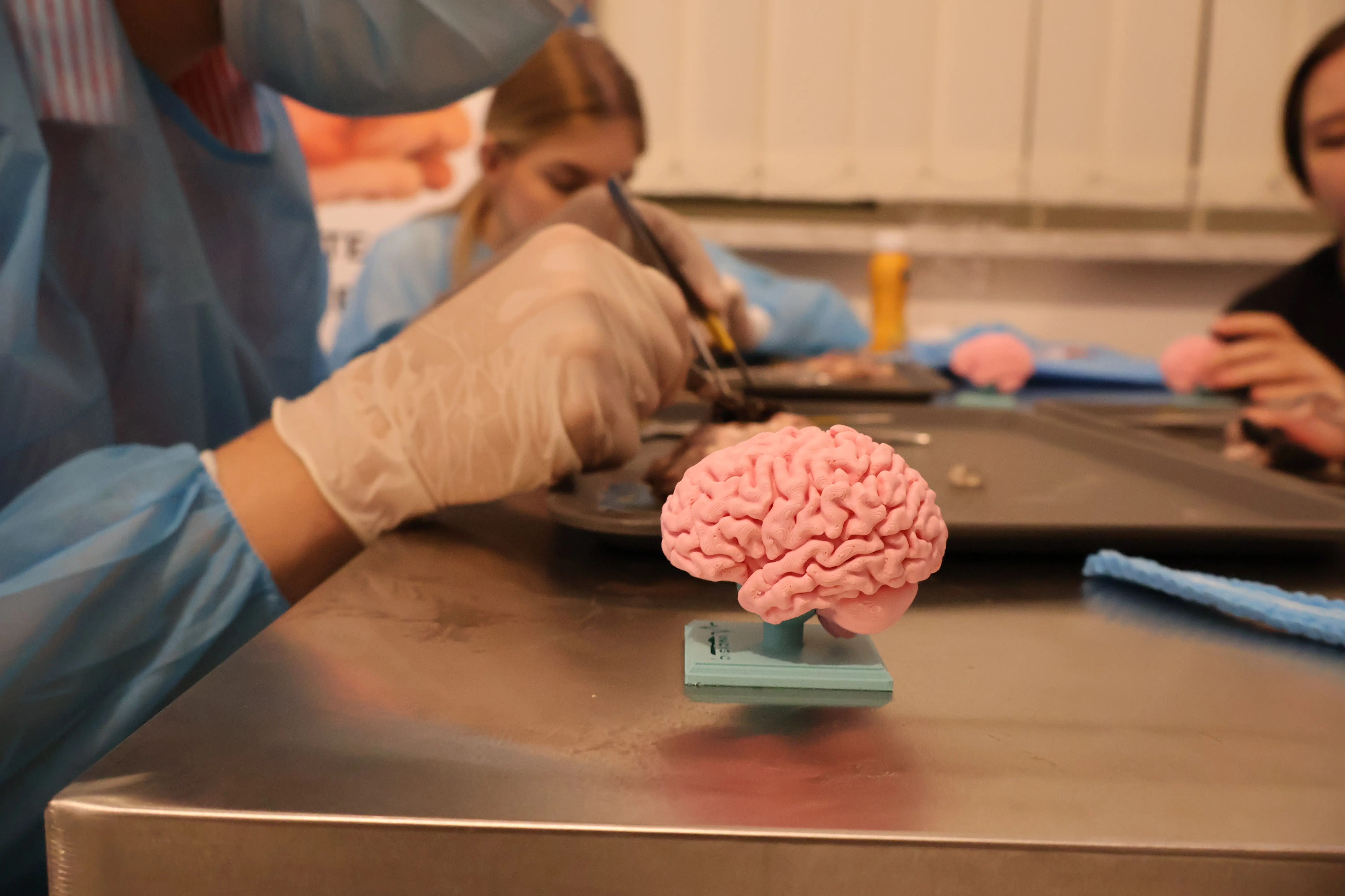 Neurovision — foto 1